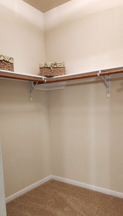 Photo - 13919 Bellows Gate Ct