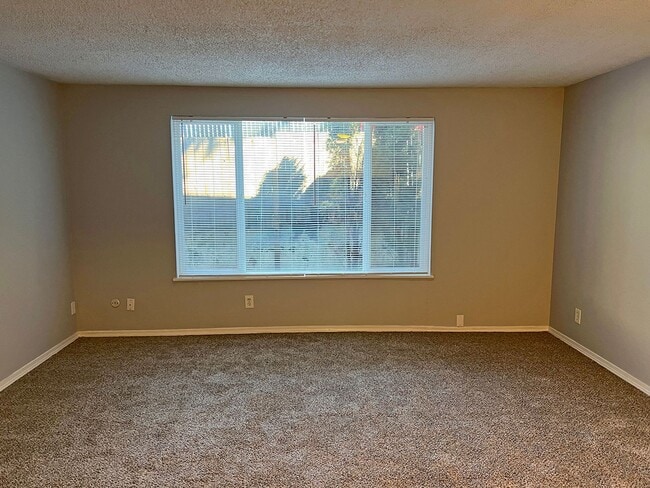 Photo - MADISON APTS
