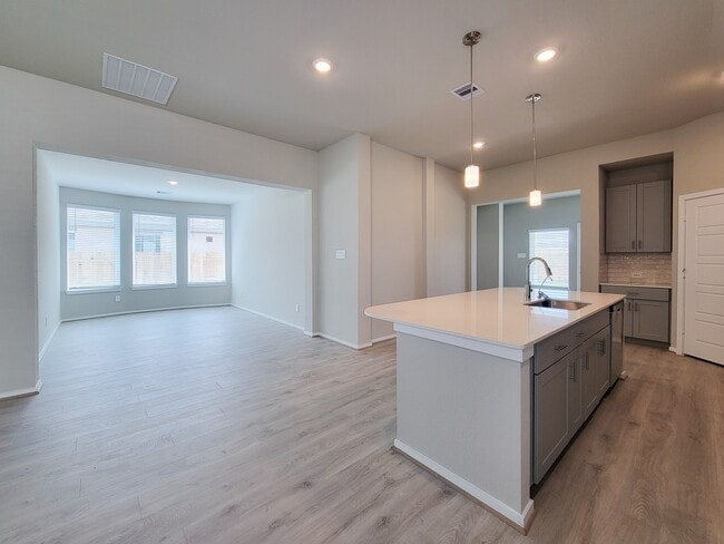 Photo - 17415 Butterfly Orchid