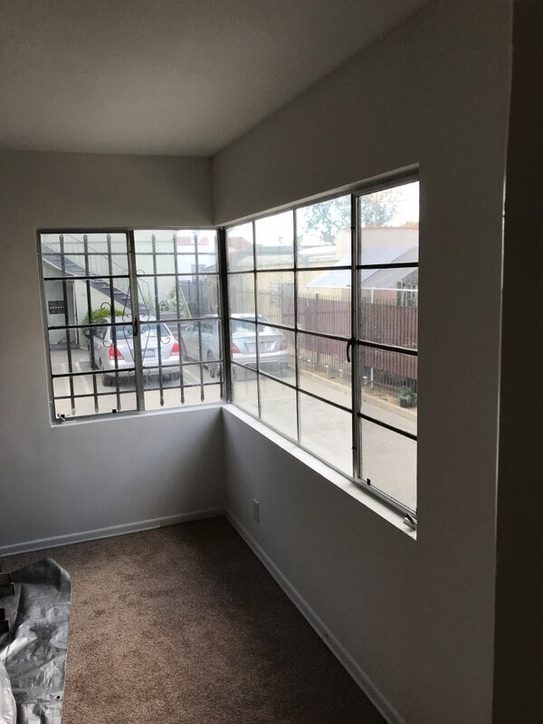 Living Room Window