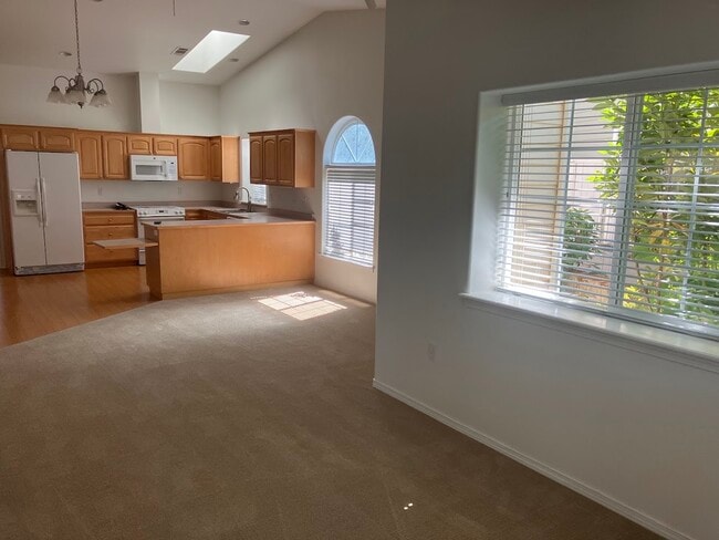 3123 SW University Rd
