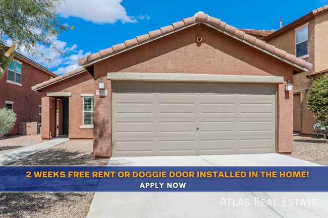 Building Photo - 9482 Desert Fauna Loop