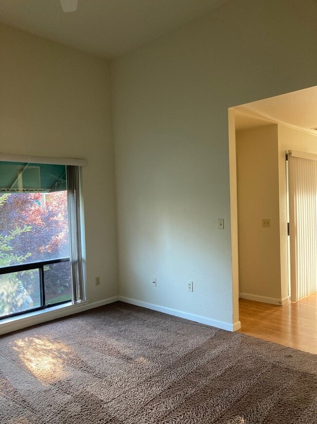 Photo - **Available Now!!** Unit 206