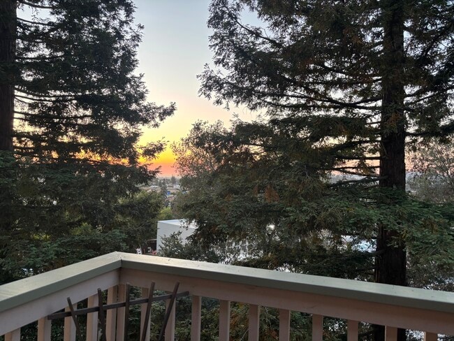 Photo - 24020 Janssen Ct