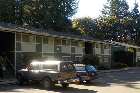 Photo - Z_Norwegian Wood