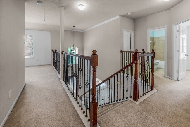 Photo - 7 Ebony Oaks Pl