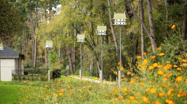 Photo - 14818 Whistling Duck Ln