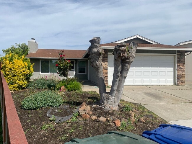 Building Photo - Terrific Oakley Location! Rental