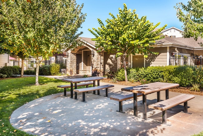Picnic Area
