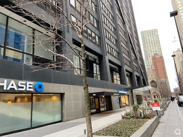 Building Photo - 175 E Delaware Pl Unit 5105 Rental