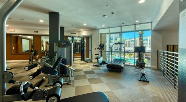 Elevation San Tan