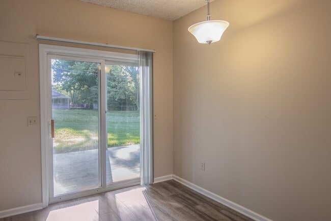 Photo - Steeple Chase