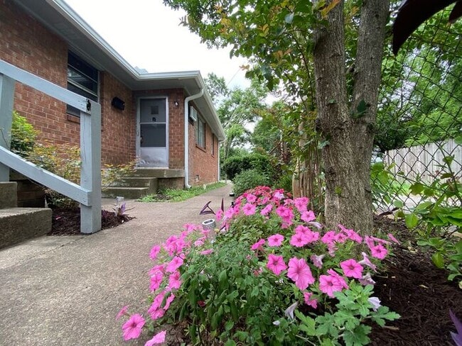 For Rent - 2 Bedroom Apartment Near Downto... - For Rent - 2 Bedroom Apartment Near Downto...