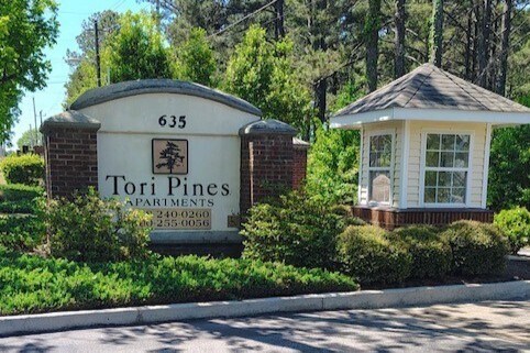 Photo - Tori Pines