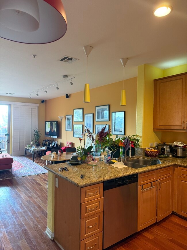 Family + Kitchen - 3857 Pell Pl Apartment Unit 211