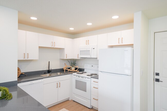SoTro Apartments