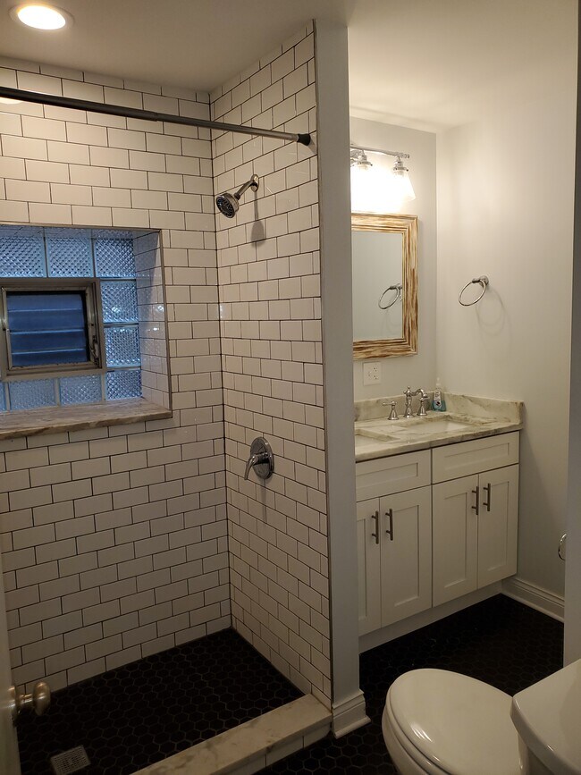 Bathroom - 1309 W Fillmore St Unit 1