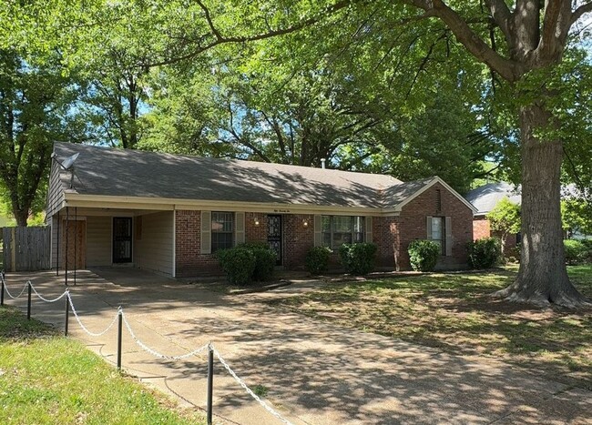 Spacious 3 bedroom 2 bath home - Spacious 3 bedroom 2 bath home