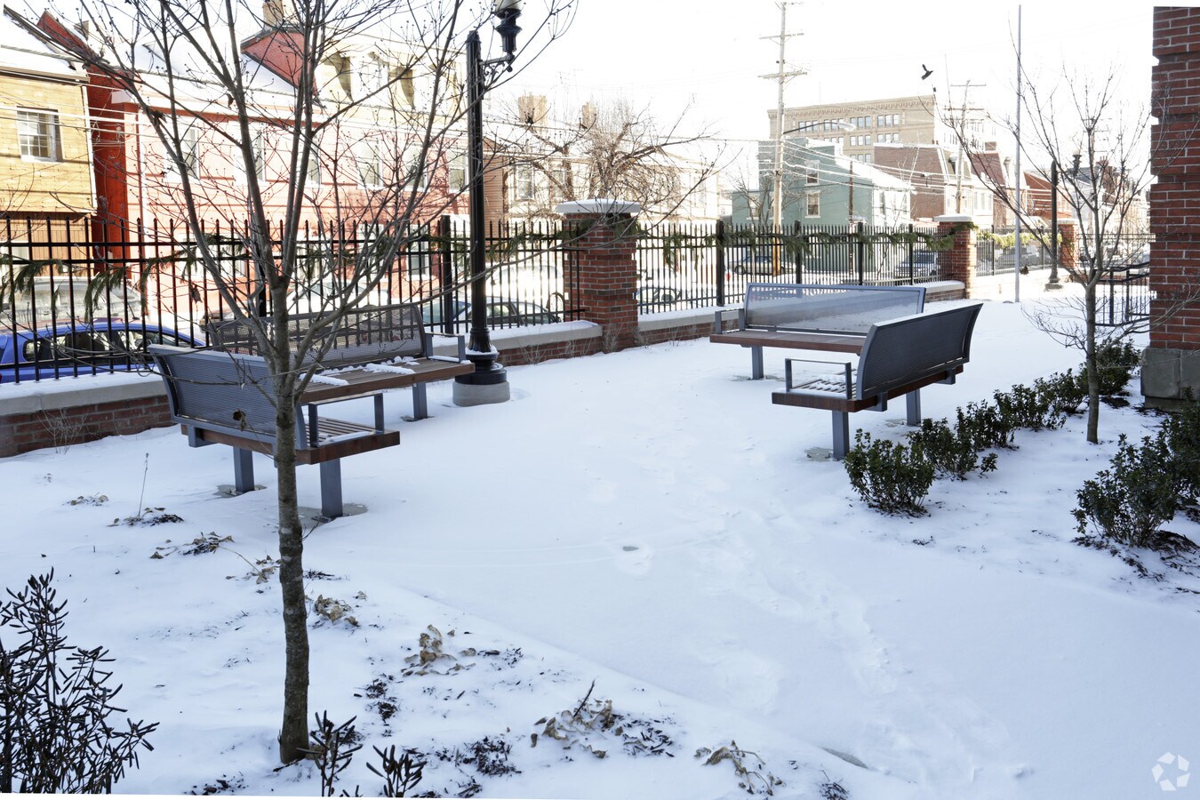 Photo - Morse Gardens