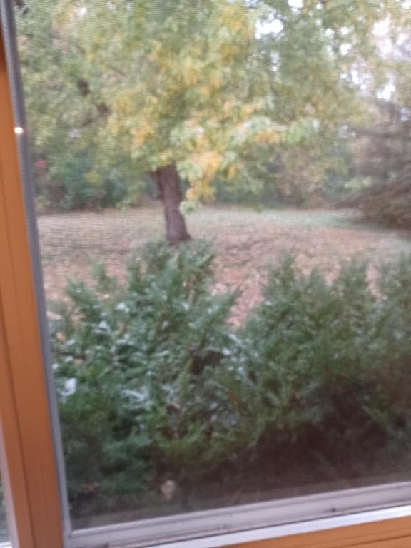 Photo - 11840 26th Ave