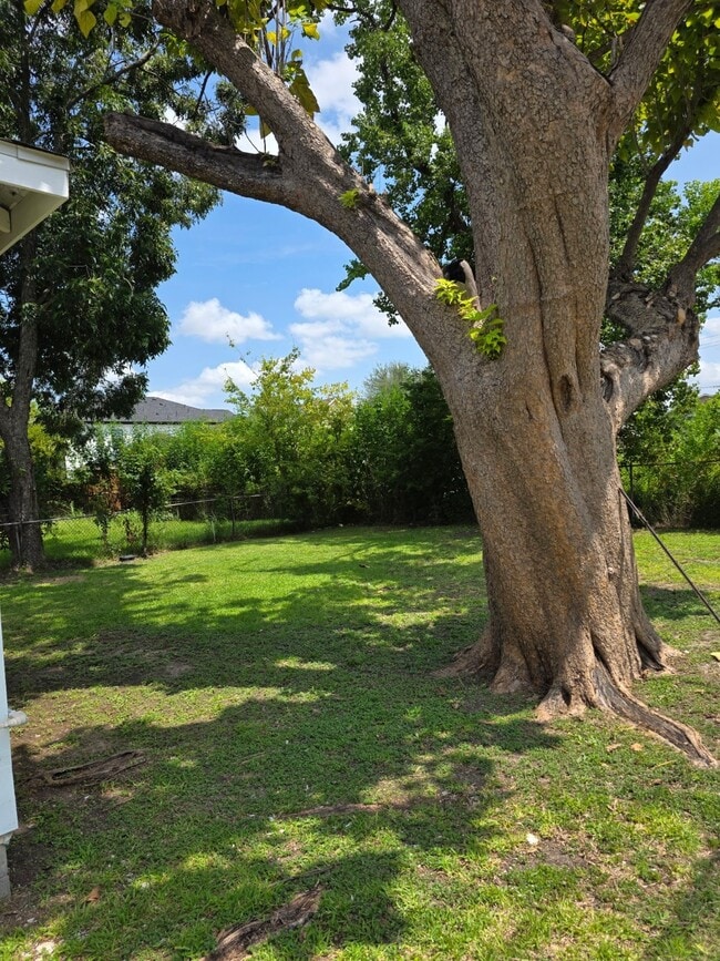 Photo - 8133 Brandon St