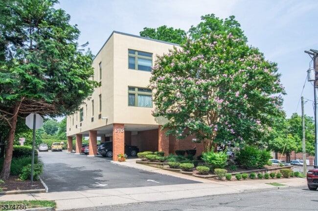 Building Photo - 276 Chestnut St Unit 1G Rental