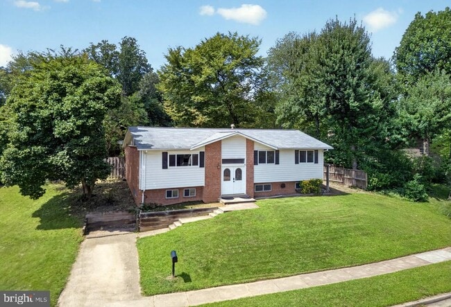 8110 Springfield Village Dr