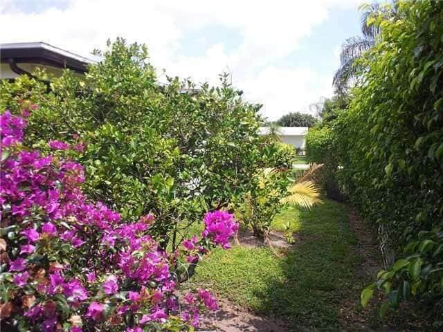 Photo - 6372 Winding Brooke Way