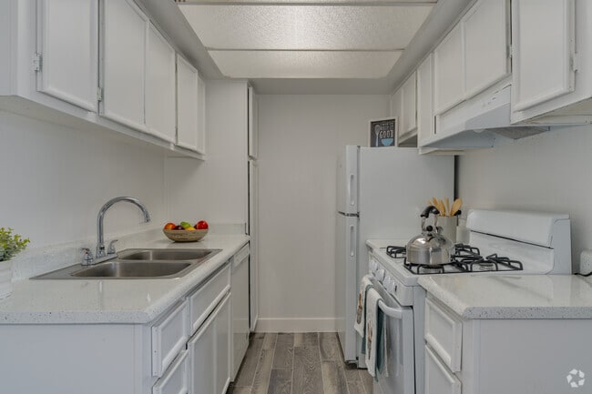 1BR, 1BA - 720SF - Kitchen - Madera at Metro