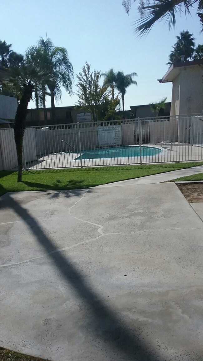 Photo - Canfield Park