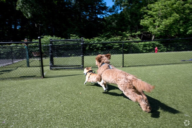 Dog Park - Cowesett Hills