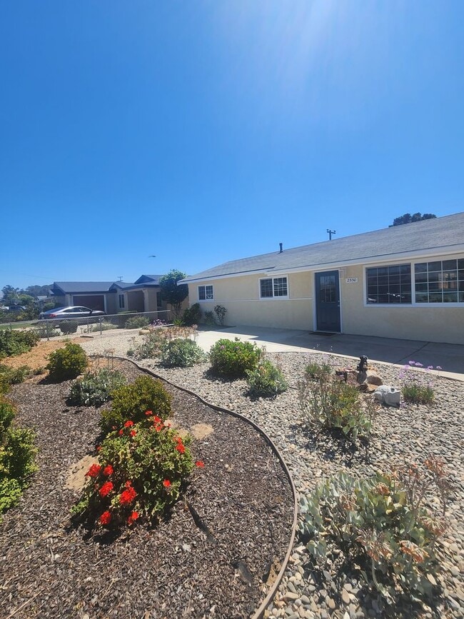 Modern Single Level 4 Bedroom Home! - Modern Single Level 4 Bedroom Home!