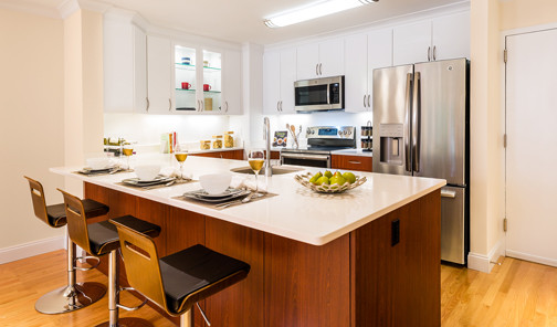 Newly renovated transitional style kitchen - 1443 Beacon Apartments