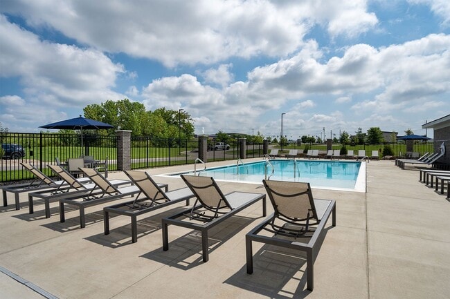 Poolside Sun Loungers
