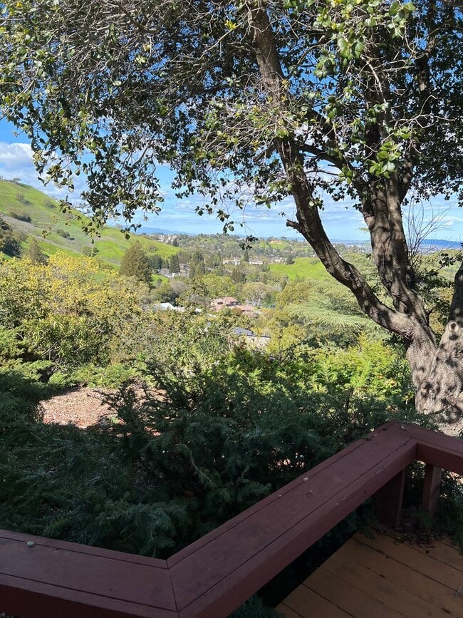 Photo - 1542 Rancho View Dr