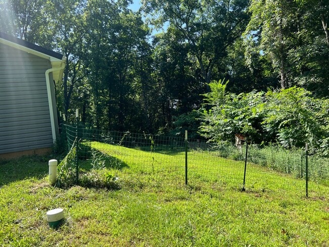 Photo - House on 5 acres 3 beds, 2 baths Unidad 11225 Cumberland Gap Dr