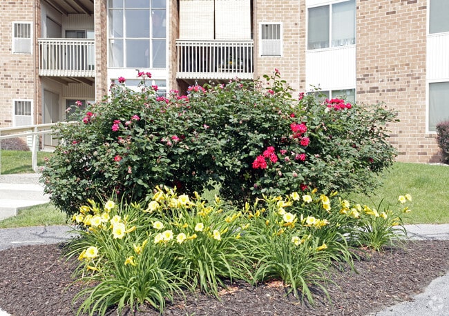 Spring Valley