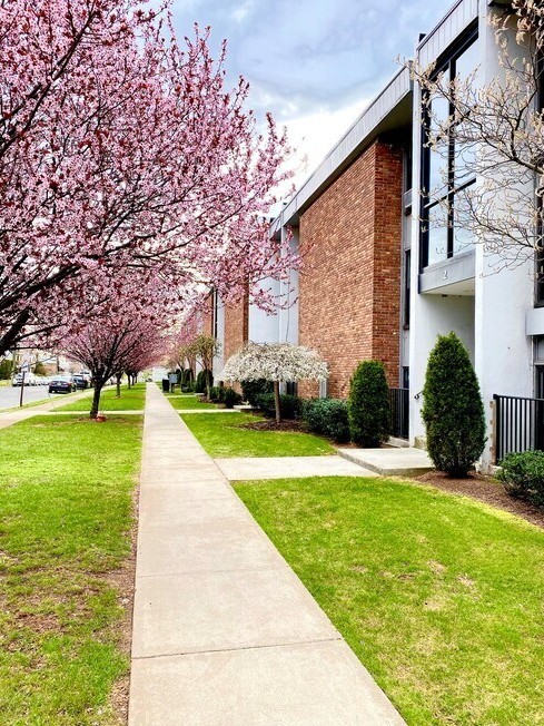 The Rahway Collection