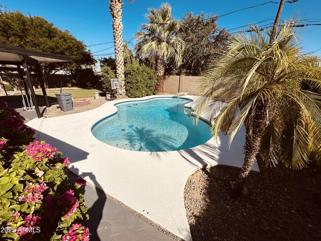 Building Photo - 3109 E Cholla St Rental
