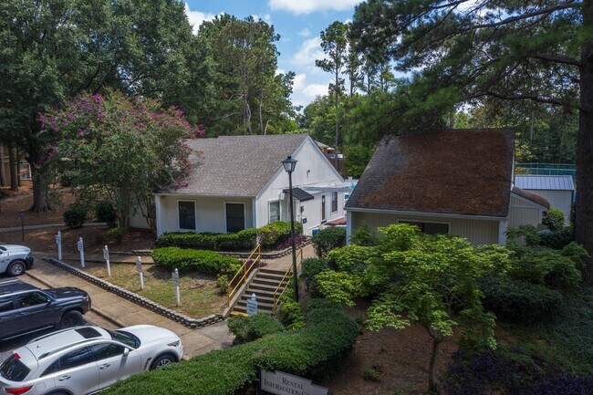 Zelda Pointe