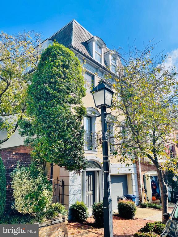 Photo - 107 Wolfe St