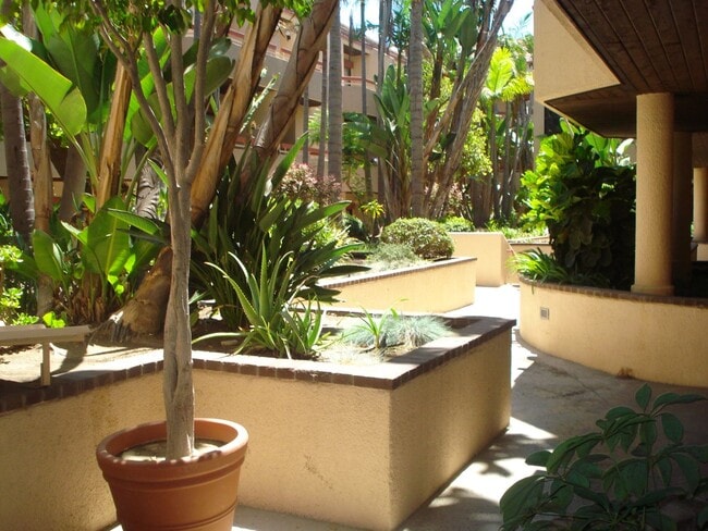 Photo - HARBOR MANOR CONDOS! ACROSS FROM HARBOR UCLA MED CTR IMMACULATE  2 bdrm 2 ba. CONDO FOR LEASE!