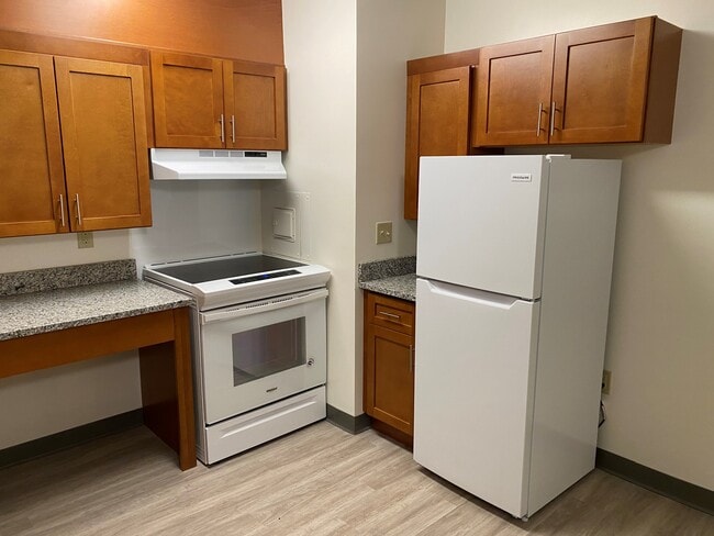 Apartment Home ADA Kitchen