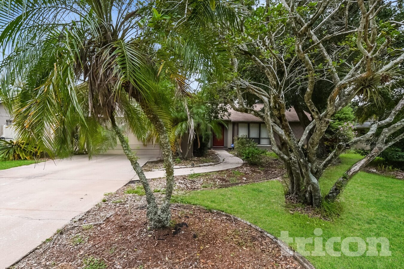 Photo - 572 Mellowood Ave