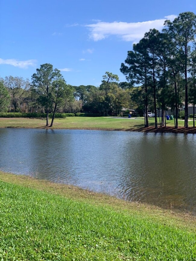 Photo - 3/2 Pool Home in Manderley Run
