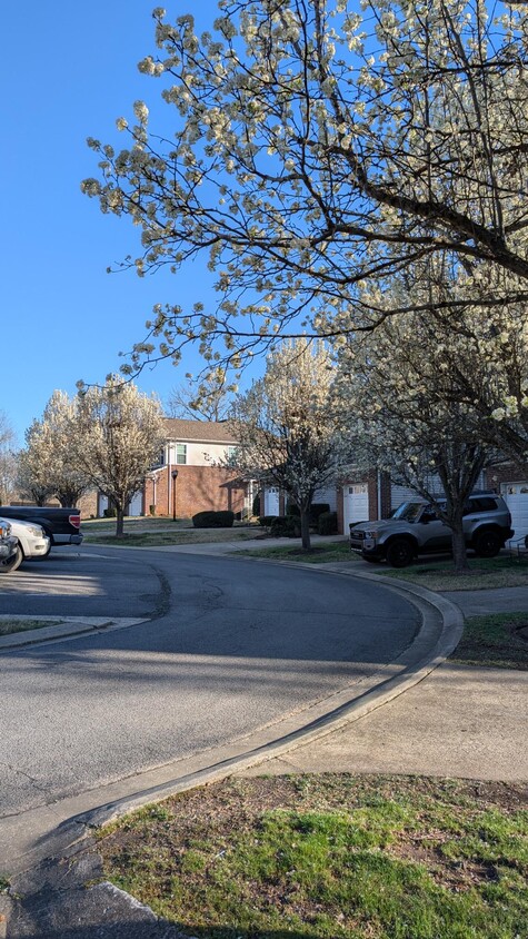 Photo - 741 Tulip Grove Rd (Nashville, TN)