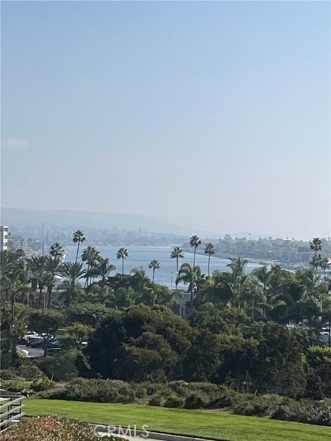 Building Photo - 230 Lille Ln