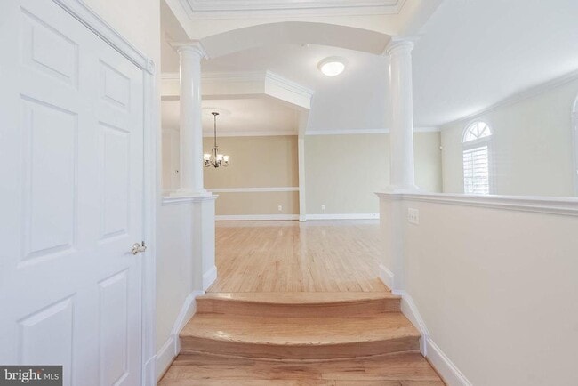 Photo - 2303 Sawtooth Oak Ct