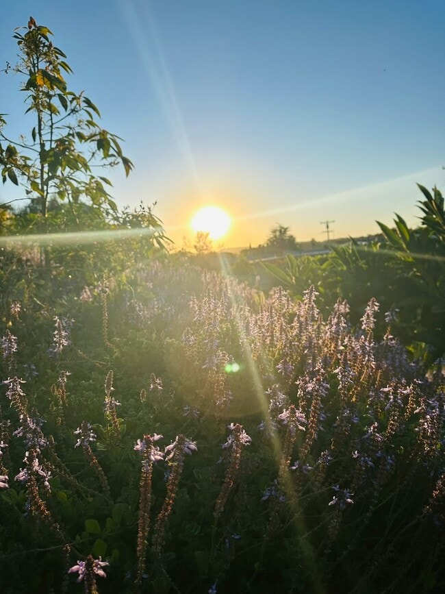 Photo - 3 Bd Single-Level Hilltop Retreat in West Vista