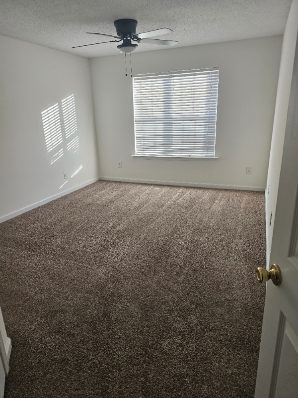 Photo - 246 Venture Path